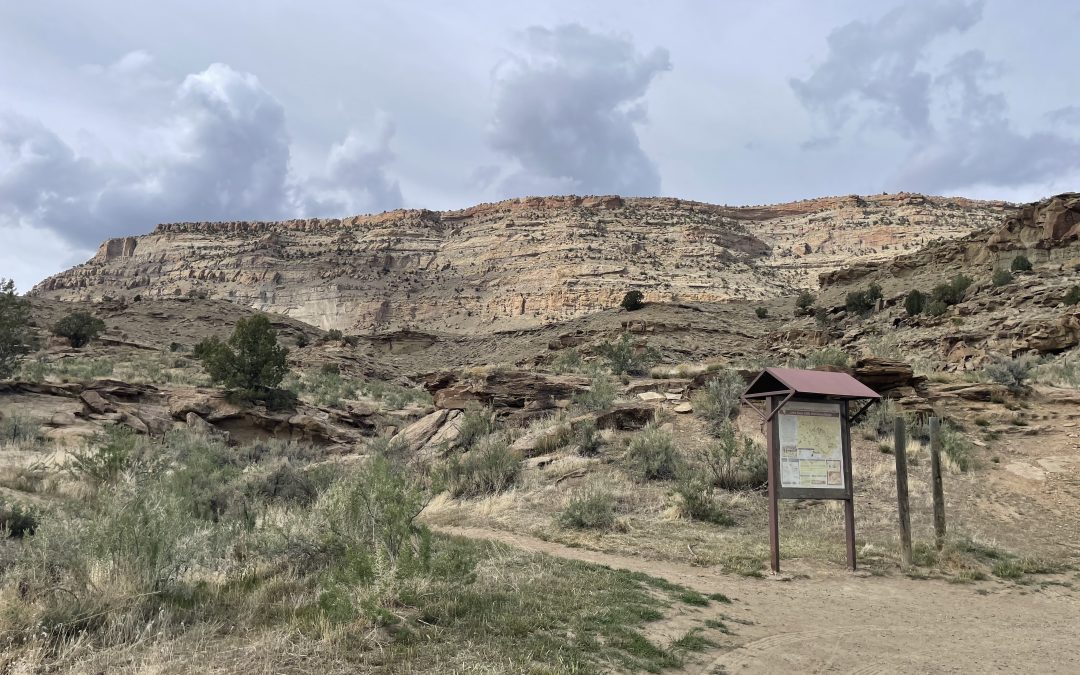 A Birthday Trip to the Little Book Cliff Wild Horse Range